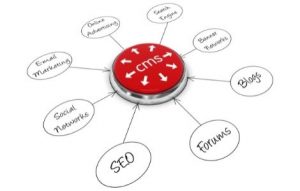 Select the right Content Management System (CMS) for your website 3